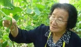 娱乐吃瓜酱人多的地铁,娱乐吃瓜酱成热门话题