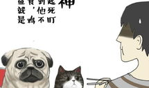 漫画吾皇,宫廷日常与智慧人生