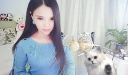 娱乐吃瓜酱雪琴,娱乐吃瓜界的麻辣女王