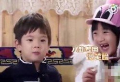 娱乐八卦吃瓜直播姐妹,揭秘娱乐八卦吃瓜姐妹的幕后故事