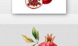 小石榴漫画,趣味横生的日常点滴