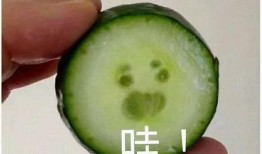 吃瓜表情包怎么回复女生微信,轻松回复女生微信，展现幽默魅力