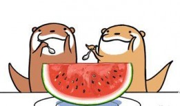 娱乐吃瓜号会不会侵权呢,风险与合规的边界探索