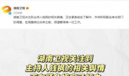 娱乐吃瓜贴吧官网首页,首页亮点抢先看