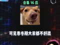 吃瓜娱乐八卦号是什么
