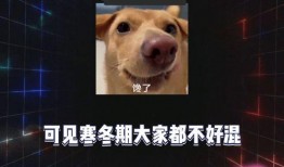 吃瓜娱乐八卦号是什么