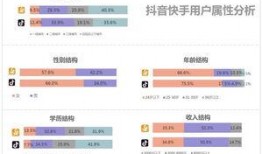 抖音短视频分析,洞察潮流脉搏，解码年轻文化现象