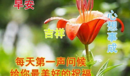 问候漫画,传递友谊与关怀的瞬间
