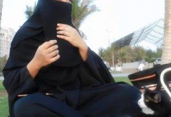 娱乐吃瓜君网红,揭秘网红背后的故事与真相