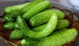 娱乐吃瓜酱摆烂,揭秘娱乐圈摆烂现象背后的真相