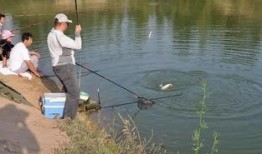 娱乐吃瓜钓鱼视频下载安装