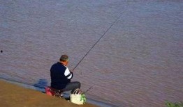 娱乐吃瓜钓鱼视频下载安装